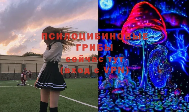 Псилоцибиновые грибы Magic Shrooms  Кировград 